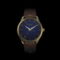EPM Gold, brown leather band