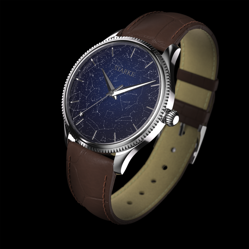 EPM Silver, brown leather band